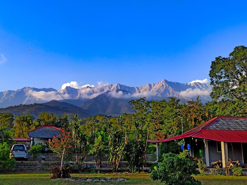 Dreamwoods - Dreamwoods, tea estate jhikkar, Gharoh, Dharamshala, Jhikkar, Himachal Pradesh 176217, India