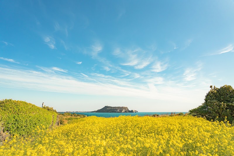 Seopjikoji - Seopjikoji-ro, Seongsan-eup, Seogwipo-si, Jeju-do, South Korea