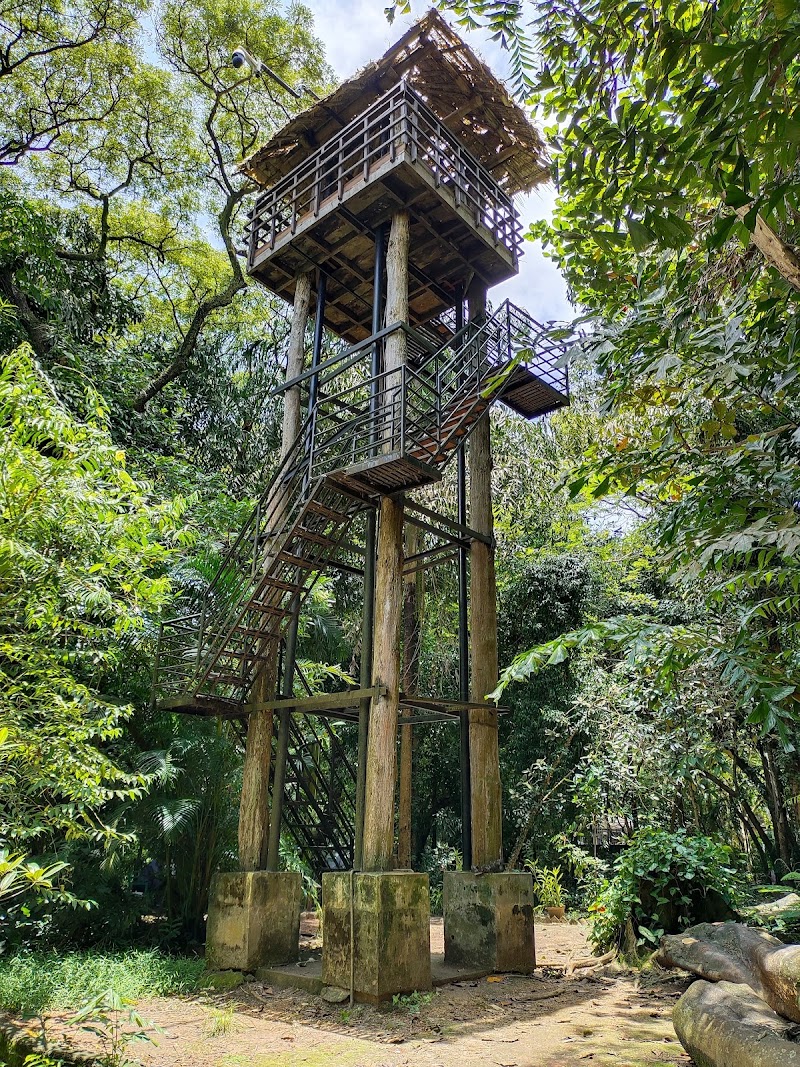 Mangalavanam Bird Sanctuary - Mangalavanam Bird Sanctuary High Ct Rd, Marine Drive, Kochi, Kerala 682018, India