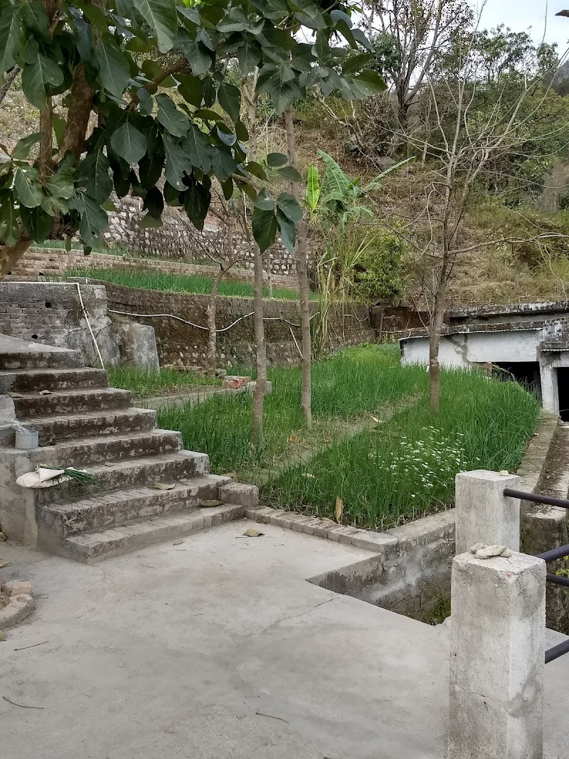 Bird's nest and nature stay - Bird's nest and nature stay, Ashok Verma, Neelkanth Mahadev Temple Road Gauri Kunj, Village Judda, Post Office, near Rishikesh, Maral, Ediya, Uttarakhand 249304, India