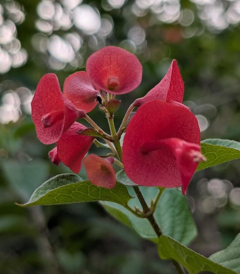 Kempegowda Tower Park - Kempegowda Tower Park Kempegowda Tower, 13, 1st Cross Rd, Raj Mahal Vilas Extension, Armane Nagar, Bengaluru, Karnataka 560080, India