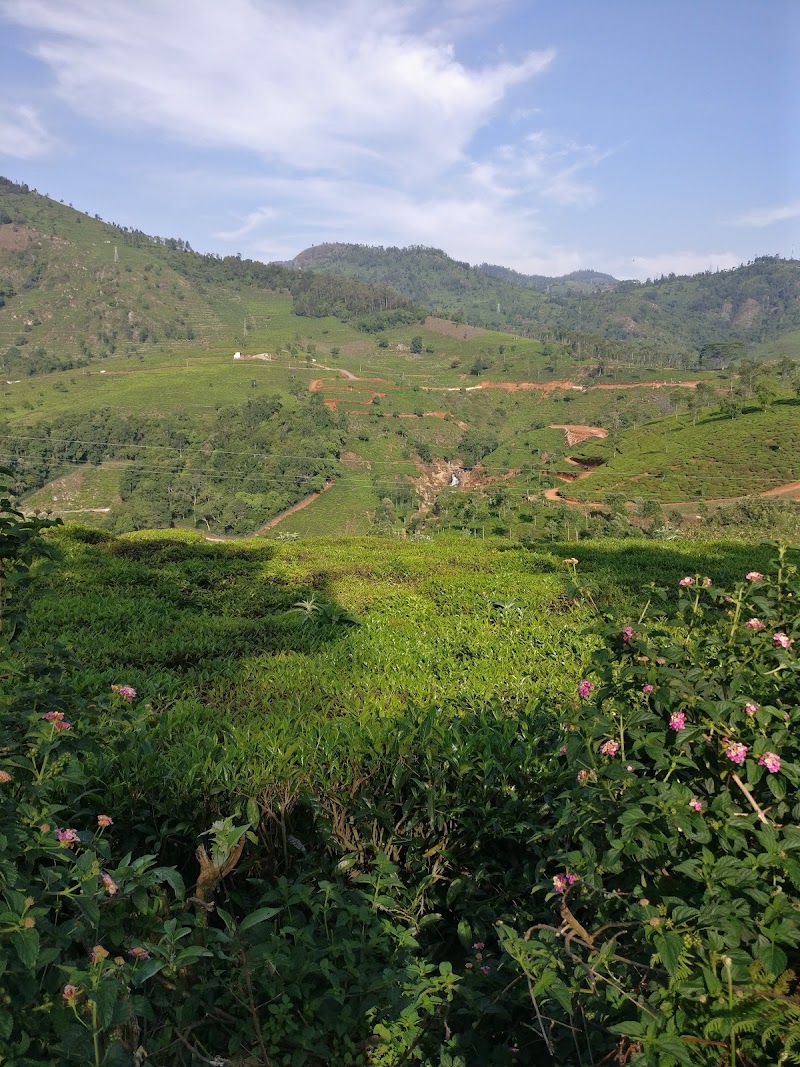 Tea Estate Bungalow with Waterfall View - Tea Estate Bungalow with Waterfall View, 1/276, Hadatorai Estate, Nihung post, Kotagiri, Tamil Nadu 643214, India