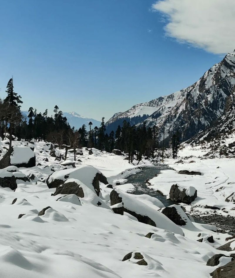 Apple Orchard Homestay - Apple Orchard Homestay, Sankri Sankri, Mori-Sankari Rd, Mori, Motwat, Uttarakhand 249128, India