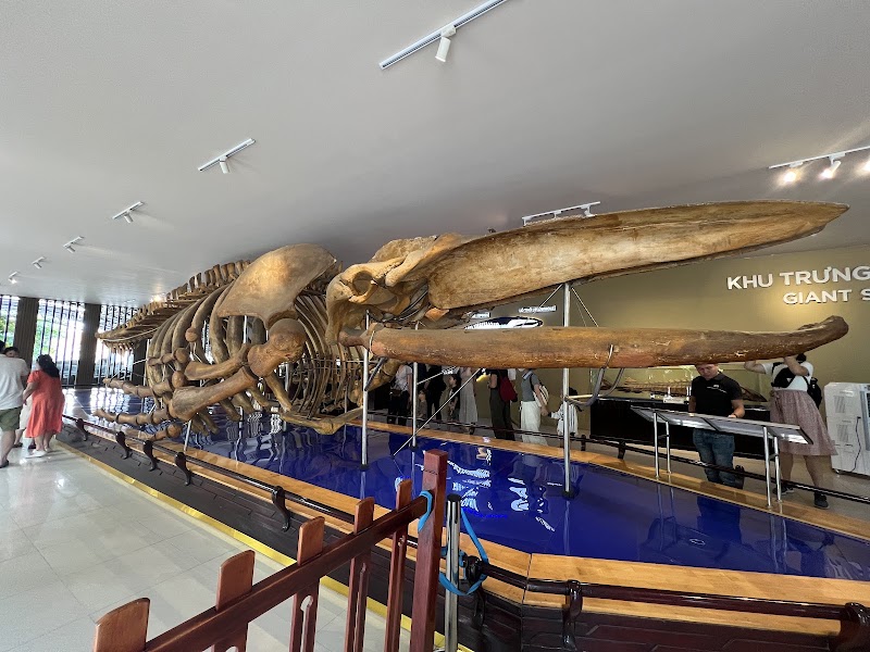 Museum of Oceanography - Museum of Oceanography 1 Cầu Đá - Hòn Một, Cầu Đá, Nha Trang, Khánh Hòa 650000, Vietnam