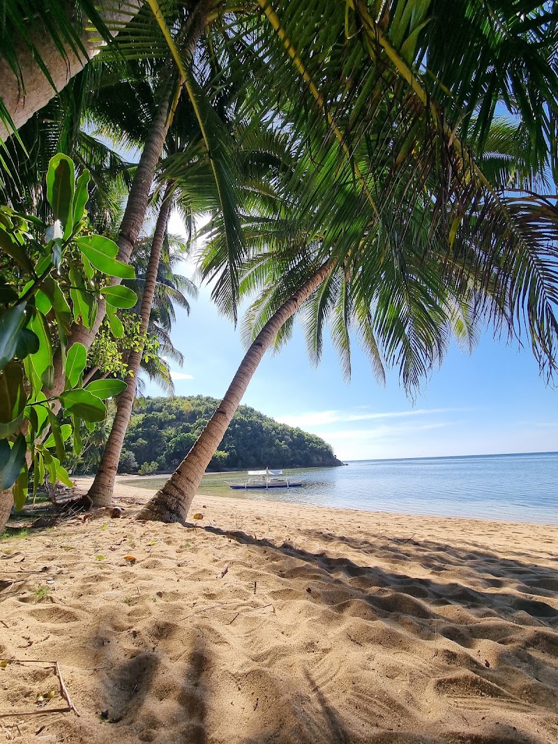Ocam Ocam Beach - Ocam Ocam Beach 5VV7+MRG, Busuanga, Palawan, Philippines
