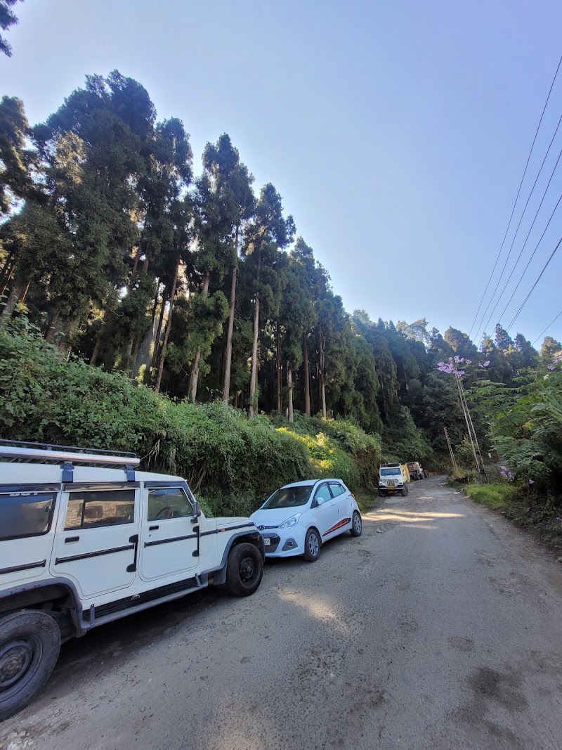 Hotel Ace Pine Valley Upper Pelling - Hotel Ace Pine Valley Upper Pelling Chung, Pong Road, beside Bharat Petrol Pump, Pelling, Pelling City, Sikkim 737113, India