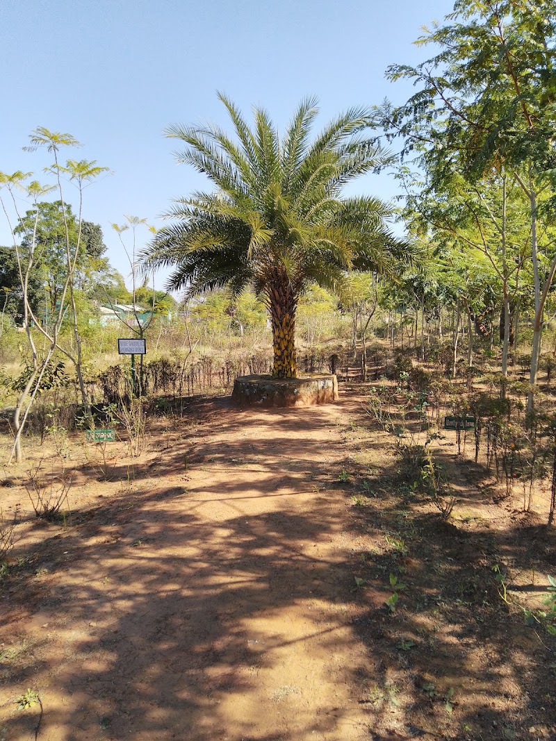 Aanand Ban Umerkote - Aanand Ban Umerkote, M644+RX4, Nowrangpur, Odisha 764073, India