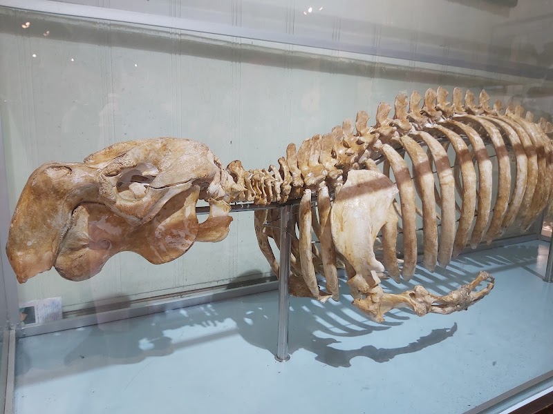 Museum of Oceanography - Museum of Oceanography 1 Cầu Đá - Hòn Một, Cầu Đá, Nha Trang, Khánh Hòa 650000, Vietnam