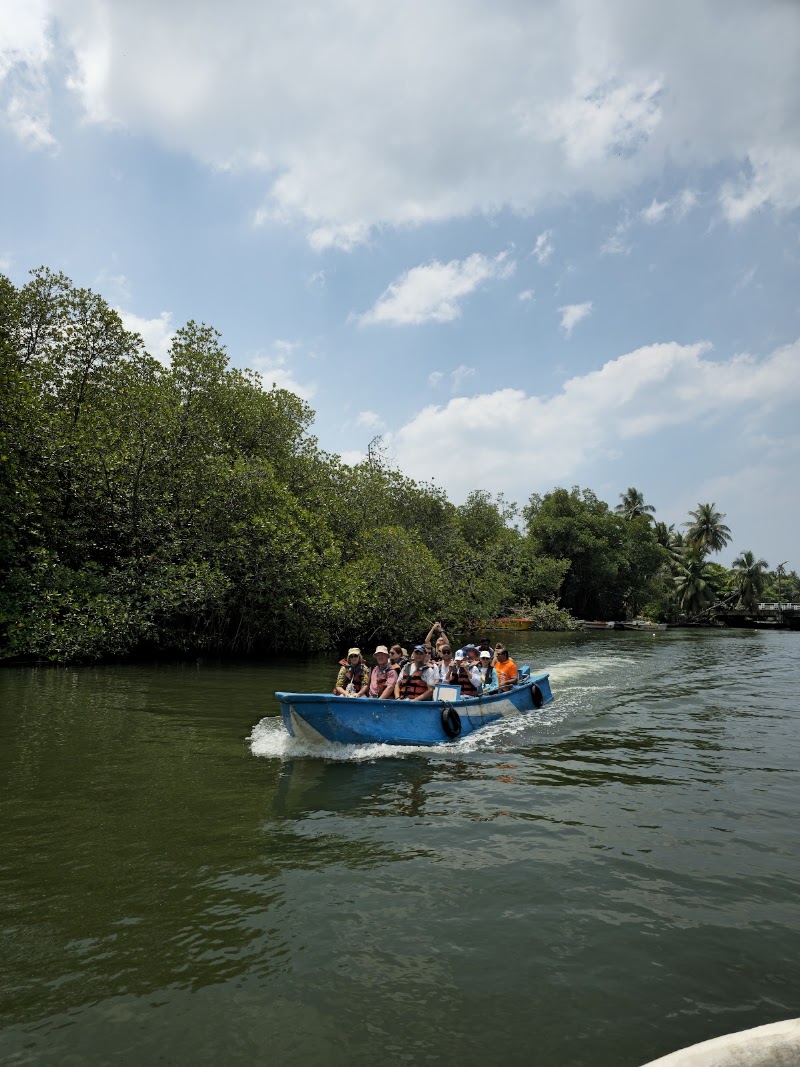 Madu River Safari මාදු ගඟේ බෝට් සෆාරි - Madu River Safari මාදු ගඟේ බෝට් සෆාරි, Near the Bridge, No.193/5 Galle Rd, Balapitiya 80550, Sri Lanka