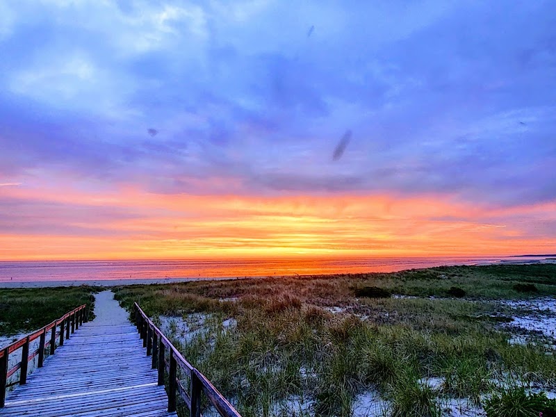Crane Beach at Trustees of Reservations