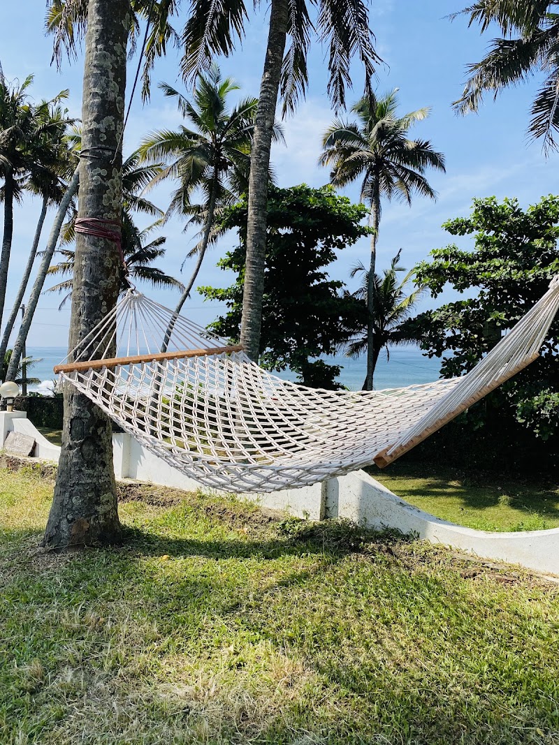 Vibes Beach House - Vibes Beach House Odayam, Varkala, Kerala 695141, India