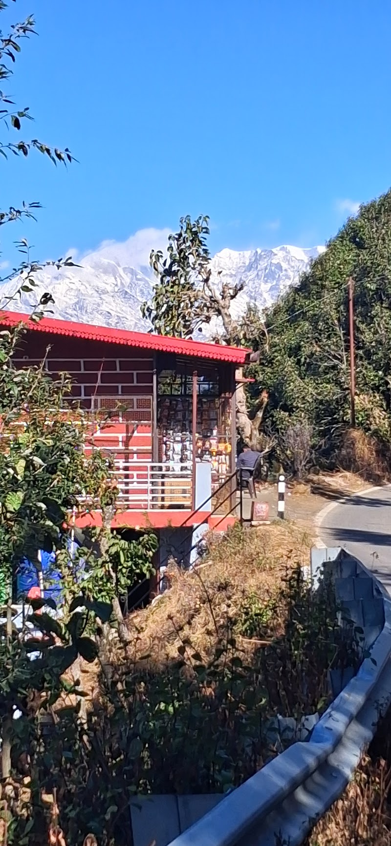 Maa bhagwati homestay and restaurant - Maa bhagwati homestay and restaurant RVF8+5VW, Dhapoli, Kathmaliya, Uttarakhand 263631, India