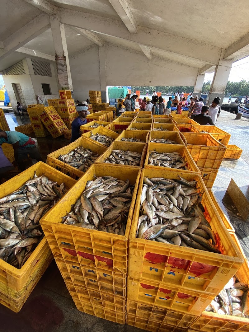 Fish market - Fish market, Malpe, Kola, Udupi, Karnataka 576108, India