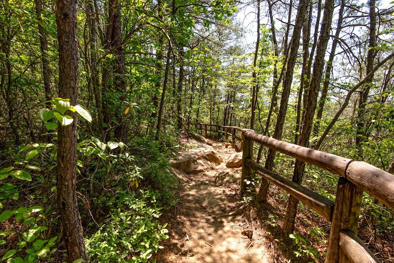 Natural Bridge State Resort Park - Natural Bridge State Resort Park 2135 Natural Bridge Rd, Slade, KY 40376, USA