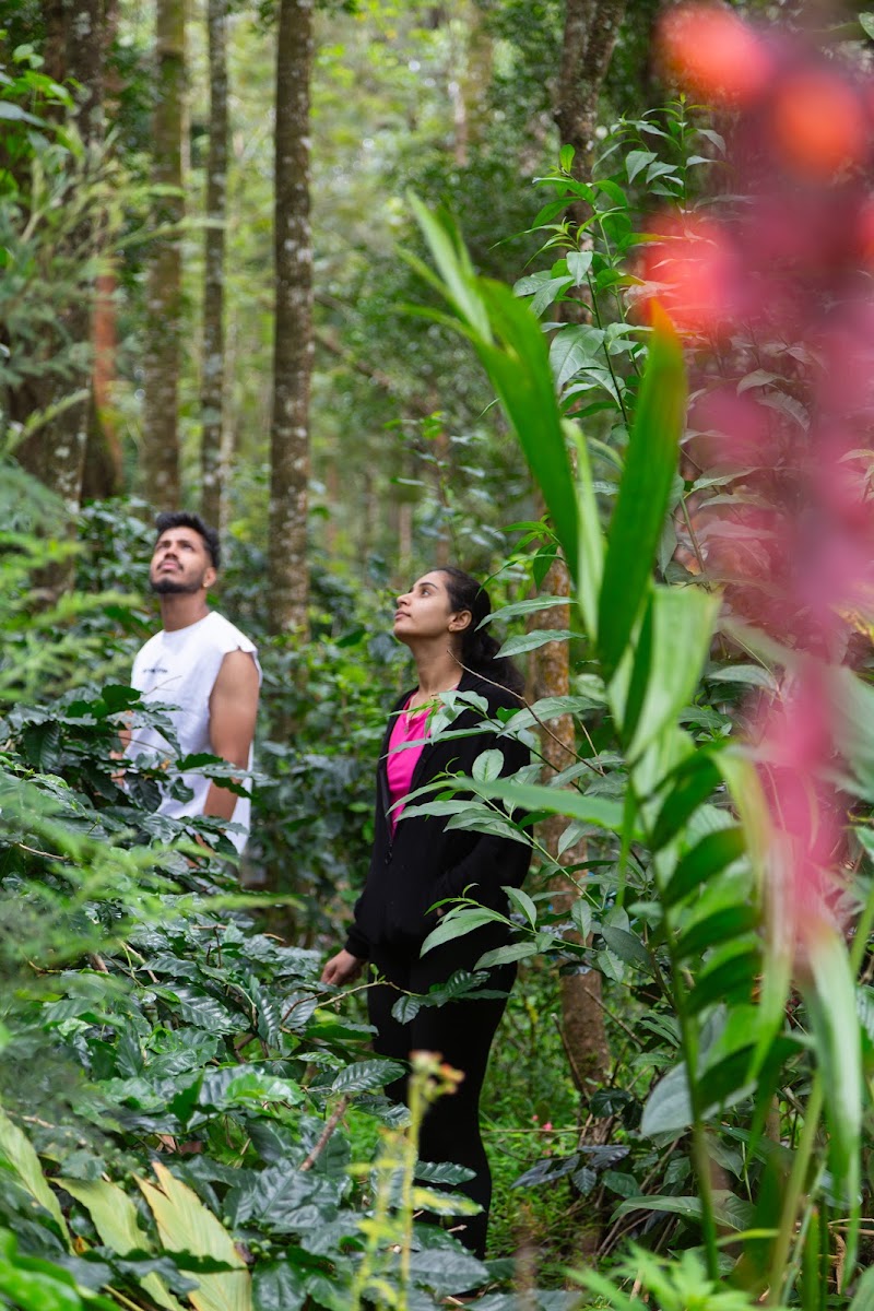 Irya Nature Stay - Irya Nature Stay Kaimara, Kalladevarapura, Aralaguppe, Karnataka 577131, India