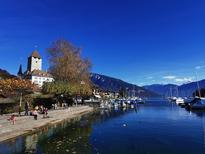 Schloss Spiez - Schloss Spiez, Schlossstrasse 16, 3700 Spiez, Switzerland
