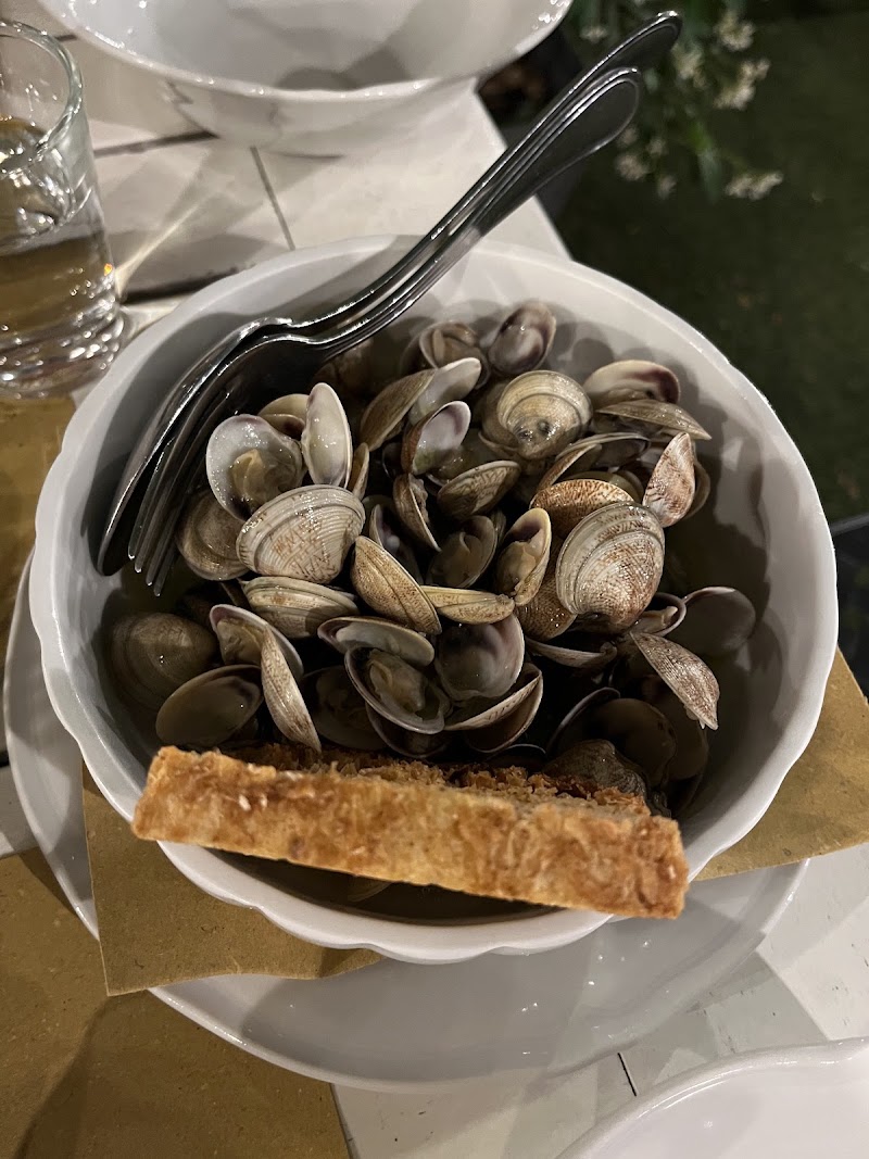 Osteria Bartolini - Osteria Bartolini, Piazza Malpighi, 16, 40123 Bologna BO, Italy