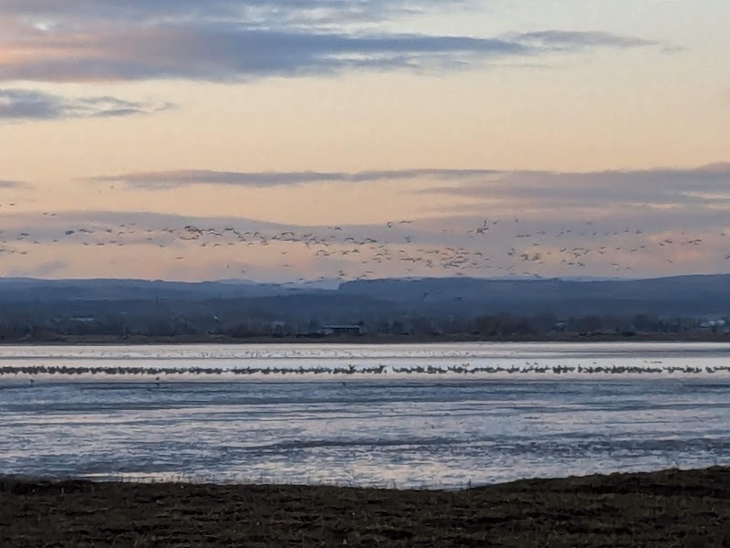 Findhorn Bay Local Nature Reserve - Findhorn Bay Local Nature Reserve, Forres IV36 3TD, UK