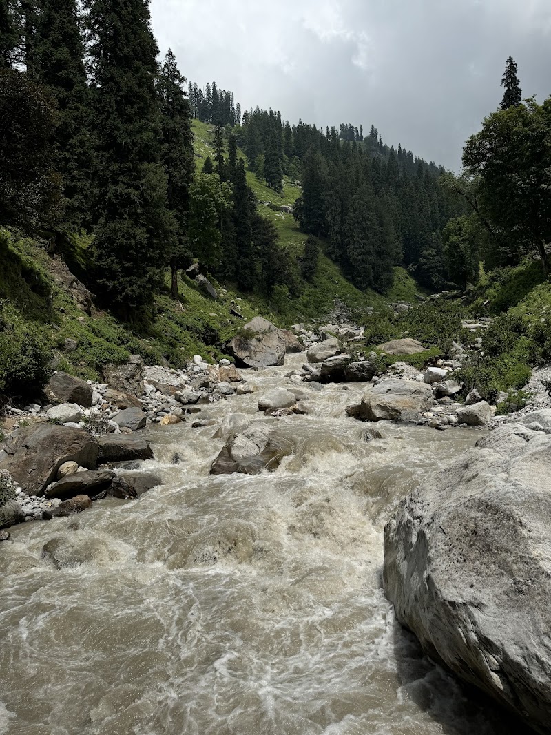 Hampta - Hampta Hamta, Manali, Himachal Pradesh 175143, India
