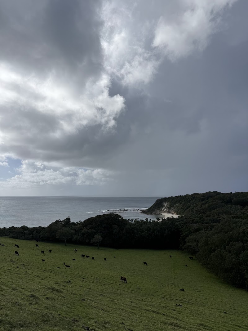 Malabar Hill - Malabar Hill, Lord Howe Island NSW 2898, Australia
