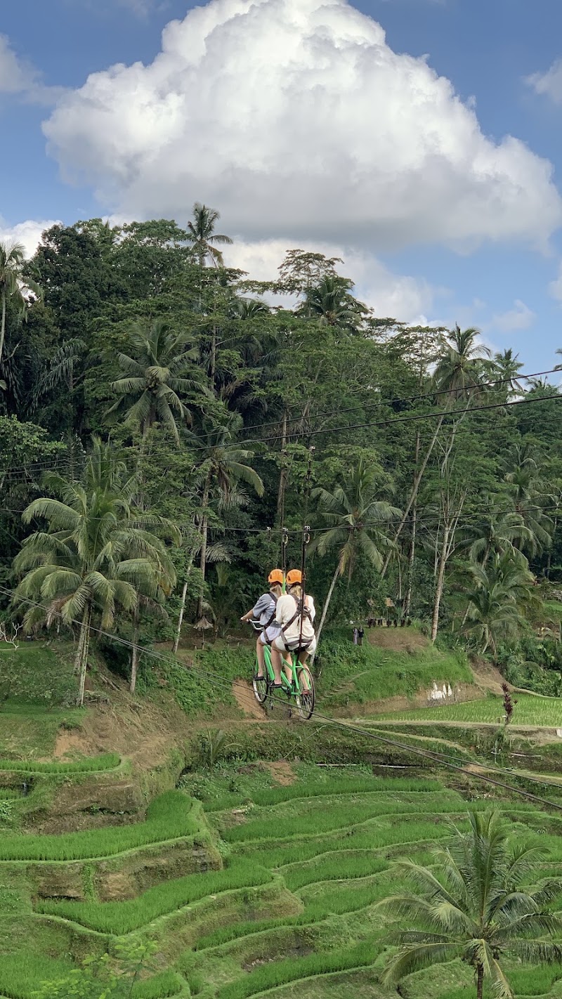 Hire Your Bali Driver - Hire Your Bali Driver, Jl. Raya Sayan Gg. Cahaya No.56, Sayan, Kecamatan Ubud, Kabupaten Gianyar, Bali 80571, Indonesia