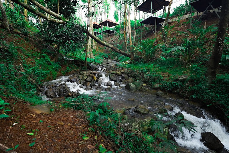 Wild Valley Aclat Meadows | Resort in Sakleshpur | Homestay in Sakleshpur - Wild Valley Aclat Meadows | Resort in Sakleshpur | Homestay in Sakleshpur Kumathahalli, Attihalli Road, Sakleshpur, Kumathahalli, Karnataka 573123, India