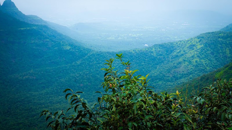 Authentic Echo Point