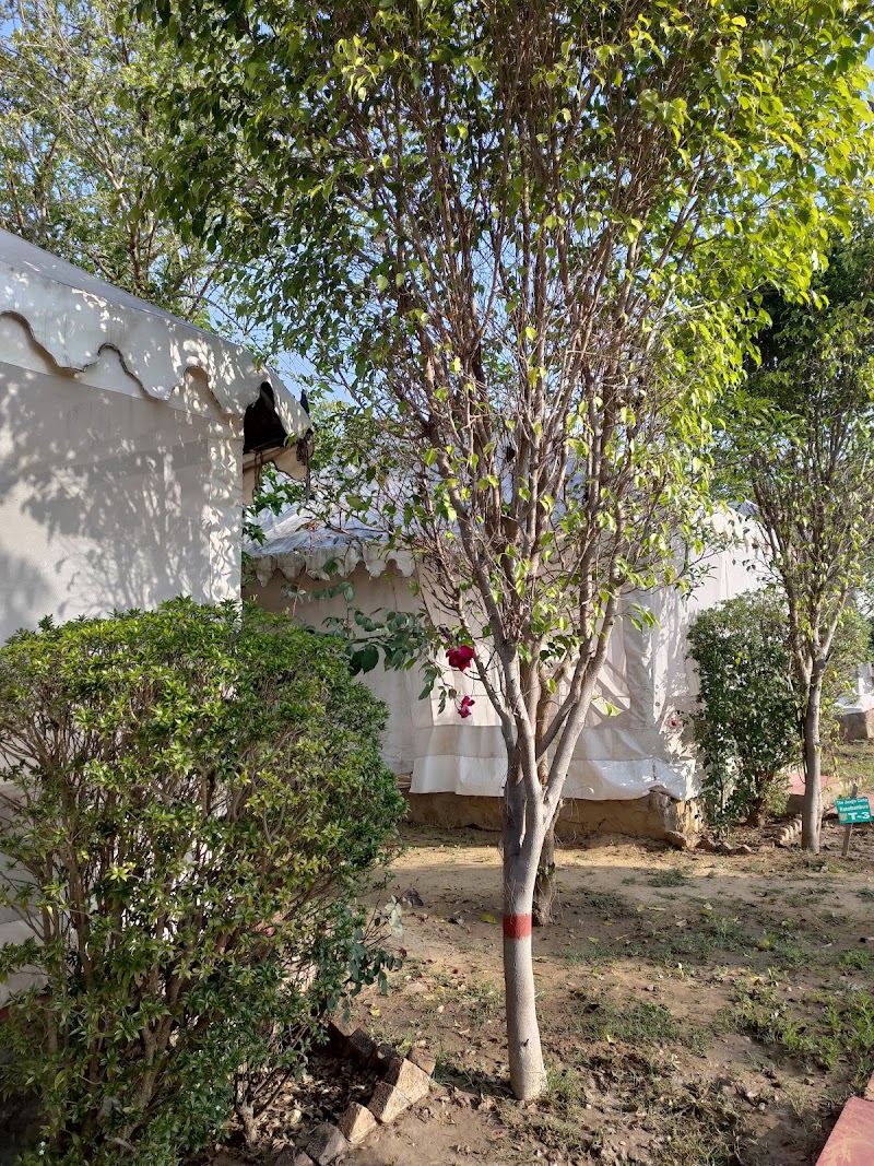 Tiger Echo Resort Ranthambore - Tiger Echo Resort Ranthambore, Sultan Bagh Marg, opp. Govt. Sr. Sec. School, Rantnthambore Fort, Ranwal, Rajasthan 322029, India