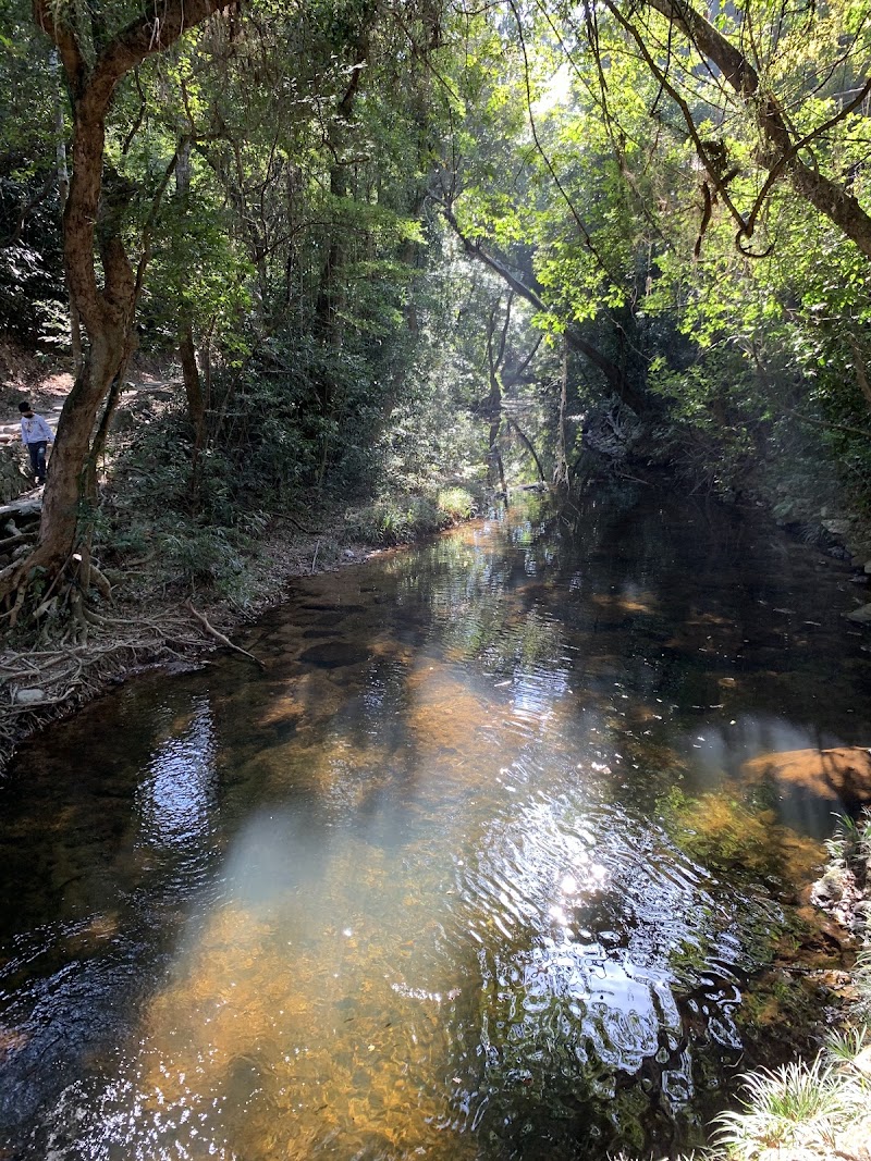 Mirror Pool - Mirror Pool, Hong Kong, New Territories, Shuen Wan, 船灣郊野公園