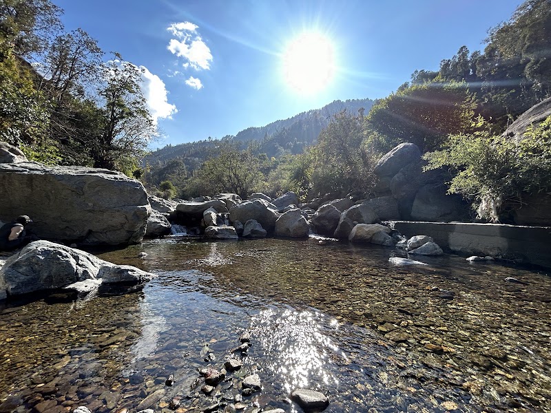 Nature’s cottage - Nature’s cottage, Gagar, Ramgarh, Uttarakhand 263137, India