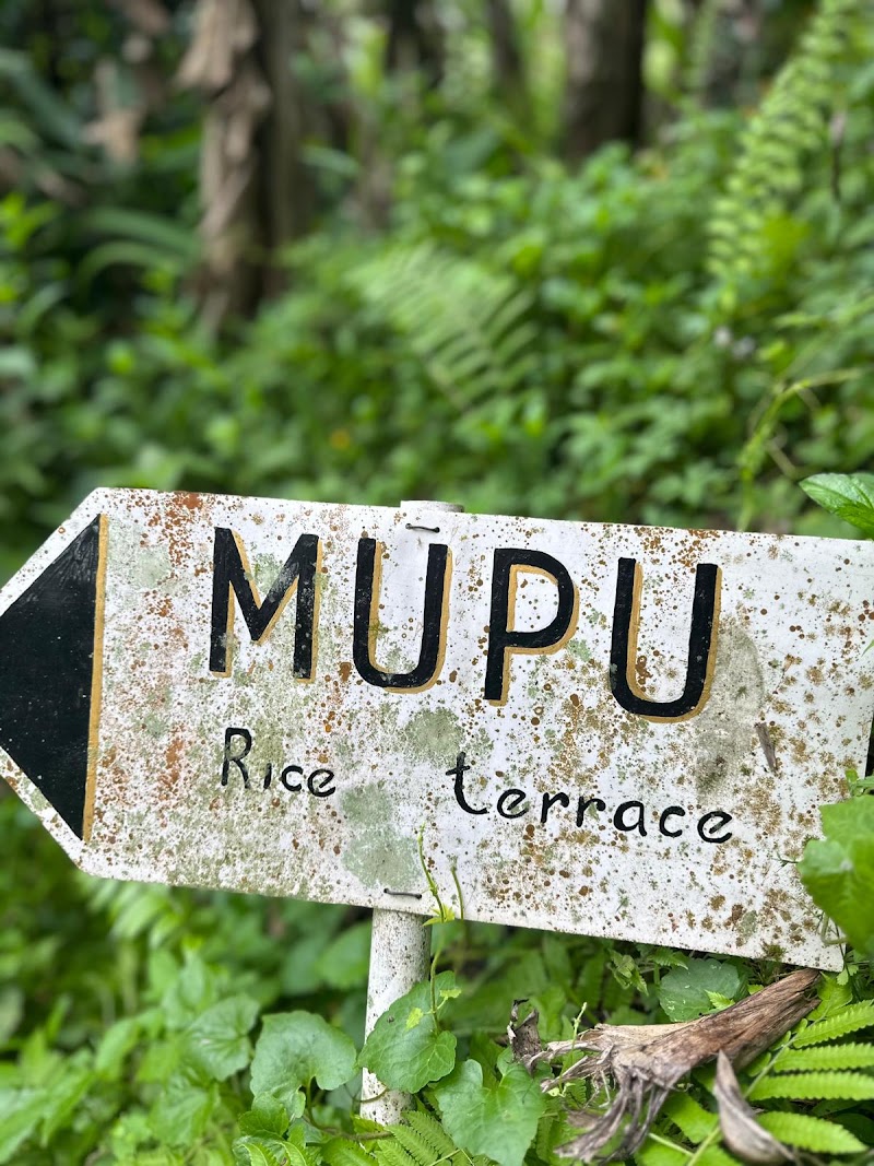 Mupu Rice Terrace - Mupu Rice Terrace Tegallalang, Gianyar Regency, Bali 80561, Indonesia