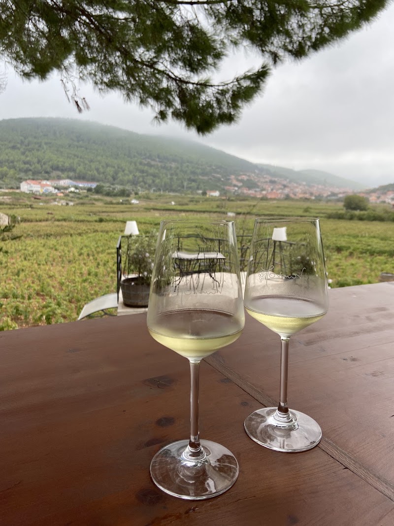 Jovanov Winery - Jovanov Winery, D118, 20271, Blato, Croatia