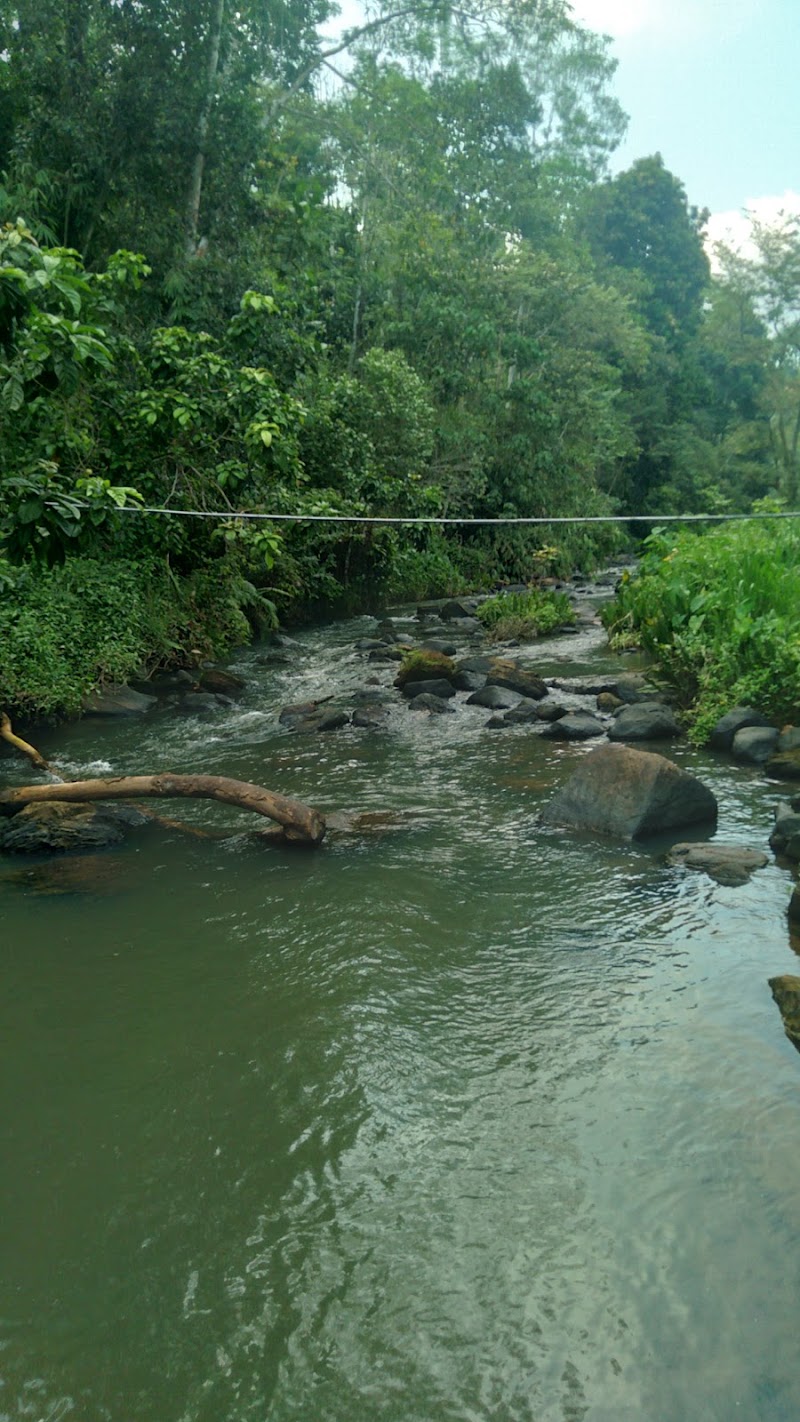 Ella (ඇල්ල)