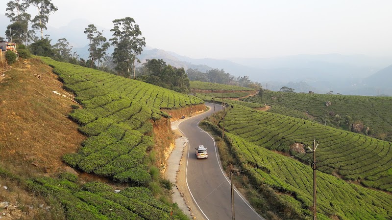 Munnar original special tea - Munnar original special tea 22rr+R28, Munnar - Aluva Rd, Mankulam, Kerala 685565, India