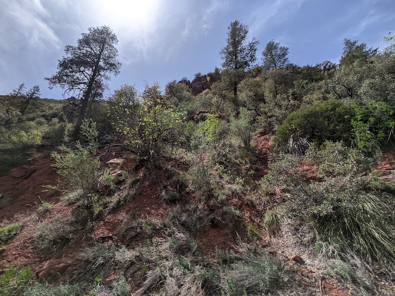 Arizona 89A - Arizona 89A, AZ-89A, Flagstaff, AZ, USA