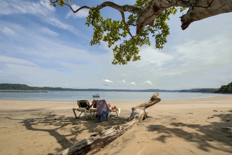 Occidental Papagayo - All Inclusive Adults Only - Occidental Papagayo - All Inclusive Adults Only, 255 Blvd. Playa Hermosa 800 metros al norte 48-5000 Golfo Guanacaste Province, Guanacaste Province, Carrillo, 50503, Costa Rica