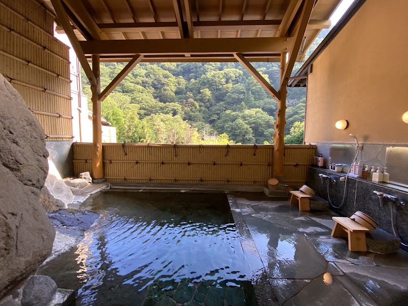 Yama No Chaya - Yama No Chaya, 171 Tōnosawa, Hakone, Ashigarashimo District, Kanagawa 250-0315, Japan