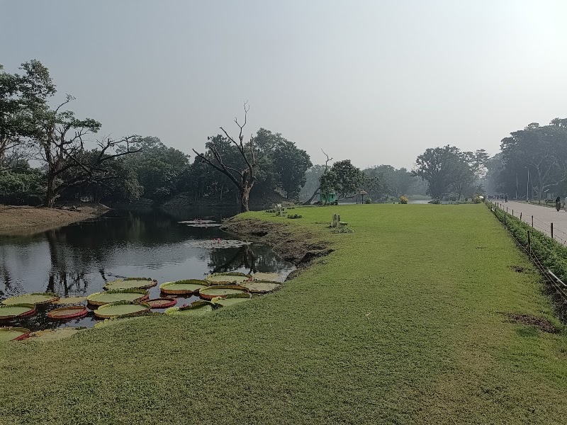 The Great Banyan Tree - The Great Banyan Tree B. Garden New Gate, Shibpur, Howrah, West Bengal 711103, India