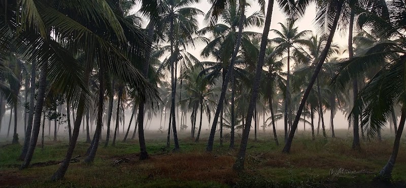 Mulki - Mulki Mulki, Kilpady, Karnataka, India