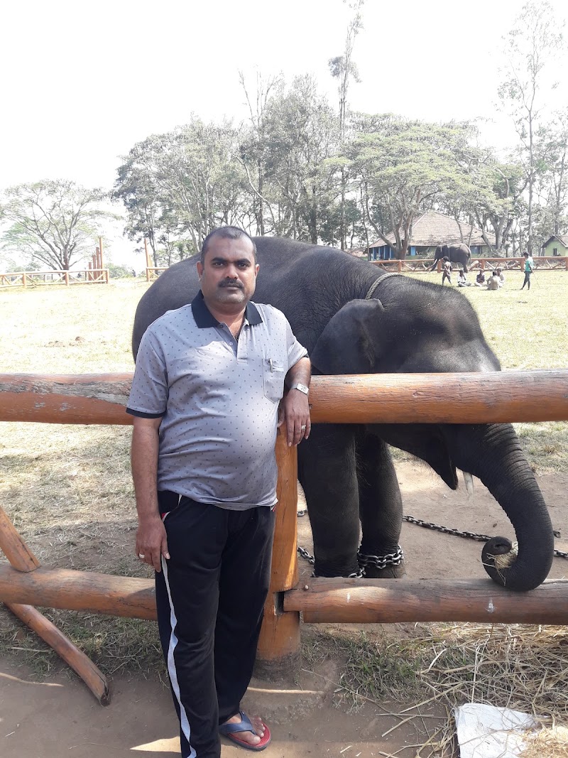 Dubare prestige - Dubare prestige 9WF2+MFC, Nanjarayapatna, Karnataka 571234, India