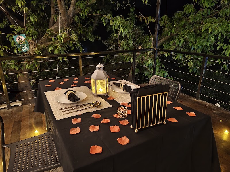 The Valley Nest - The Valley Nest Valley Nest Campus, Before Toll Plaza, opposite Charan Villa, Mount Abu, Rajasthan 307501, India