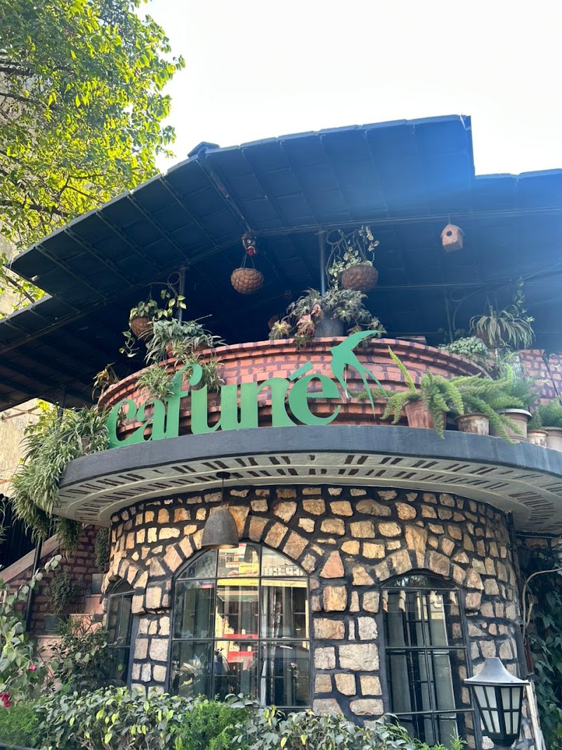 Cafune - Cafune 244/2, Kaulagarh Rd, Rajender Nagar, Dehradun, Uttarakhand 248001, India