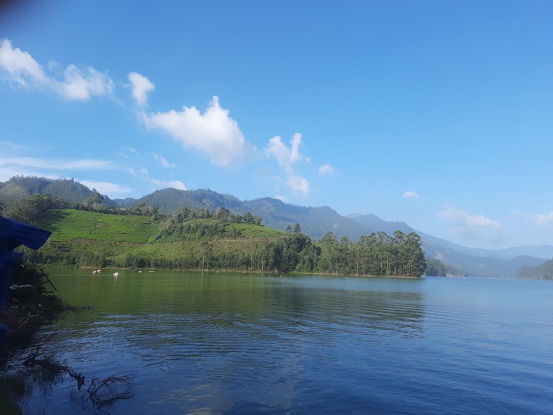 Munnar - Munnar 33Q6+34C, Munnar - Udumalpet Rd, Nullatanni, Munnar, Kerala 685612, India