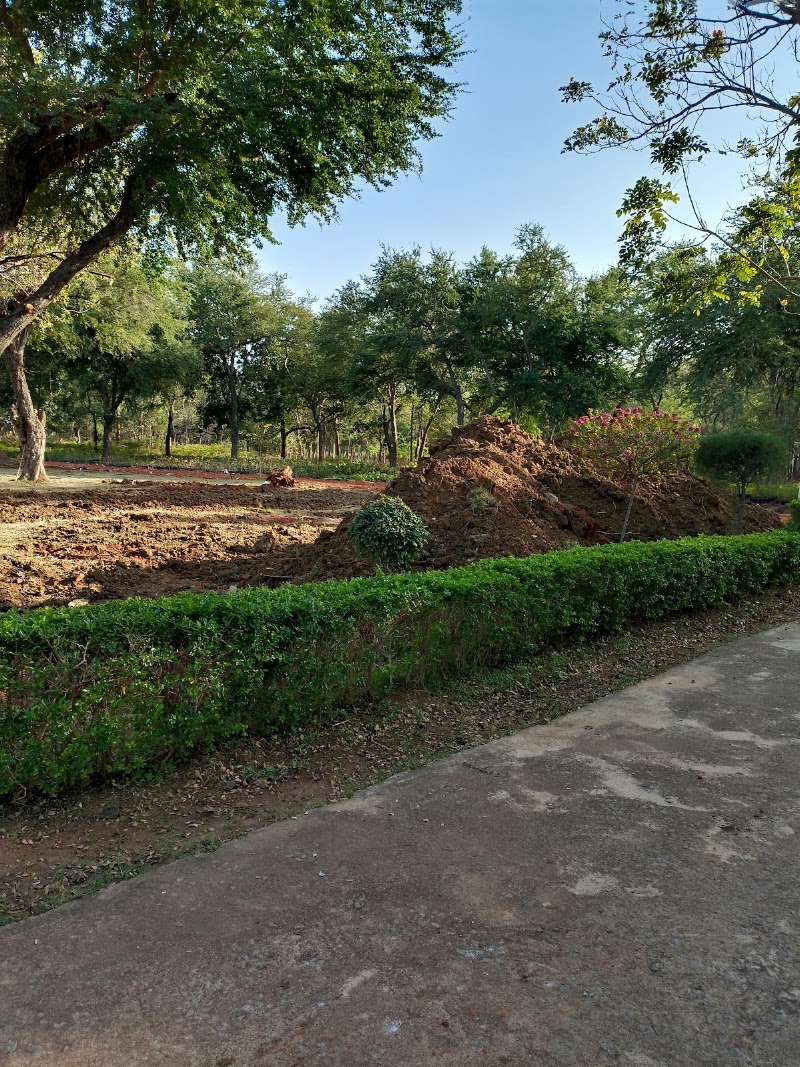 Mana Nursery - Mana Nursery, 5P7P+M5F, Mana, Atal Nagar-Nava Raipur, Chhattisgarh 492016, India