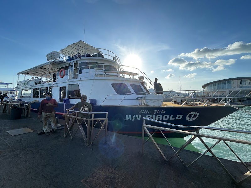 Scubadeep Phuket - Scubadeep Phuket 186 Taweewong Road Kathu, ตำบลป่าตอง Phuket, ภูเก็ต 83150, Thailand