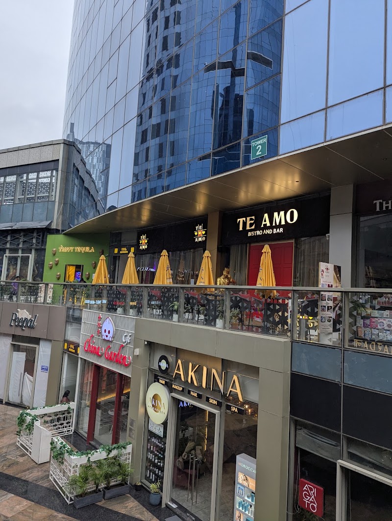 Te Amo Bistro and Bar [curated by Michelin starred Chef Suvir Saran]