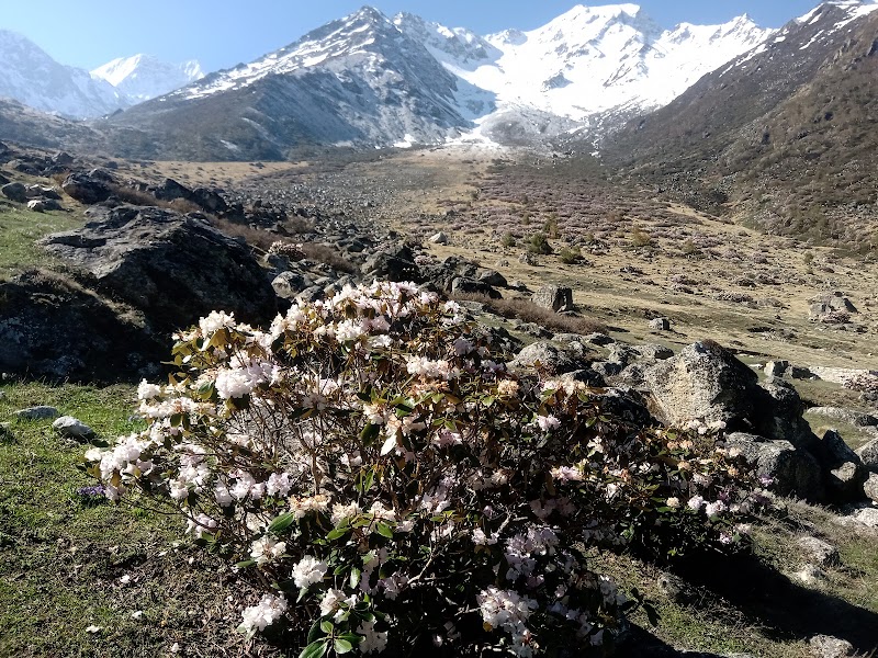 Dronagiri - Dronagiri, Uttarakhand 246483, India