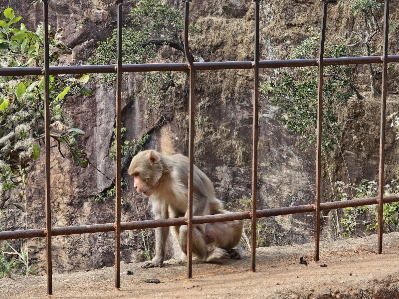 Handi Khoh, MP - Handi Khoh, MP CCQG+X2V, Pachmarhi Cantt, Madhya Pradesh 461881, India