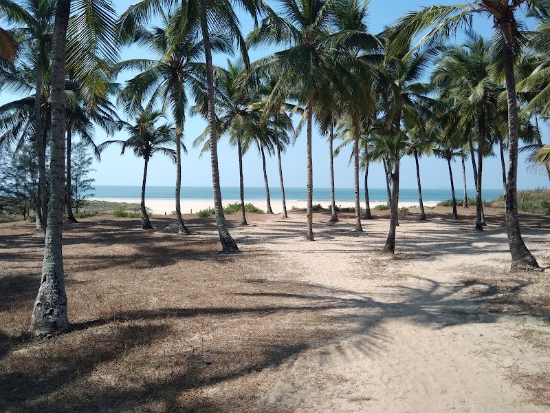 Holiday Beach Resort - Holiday Beach Resort Aldeia Dona Lira, Valsao Beach Rd, Cansaulim, Velsao, Goa 403712, India