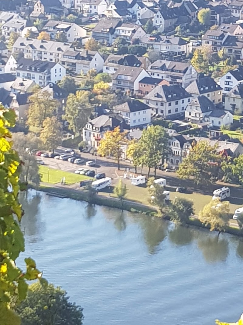 Mosel Wine museum and wine shop - Mosel Wine museum and wine shop, Cusanusstraße 2, 54470 Bernkastel-Kues, Germany